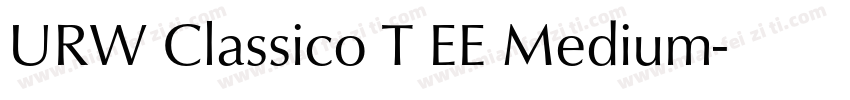 URW Classico T EE Medium字体转换